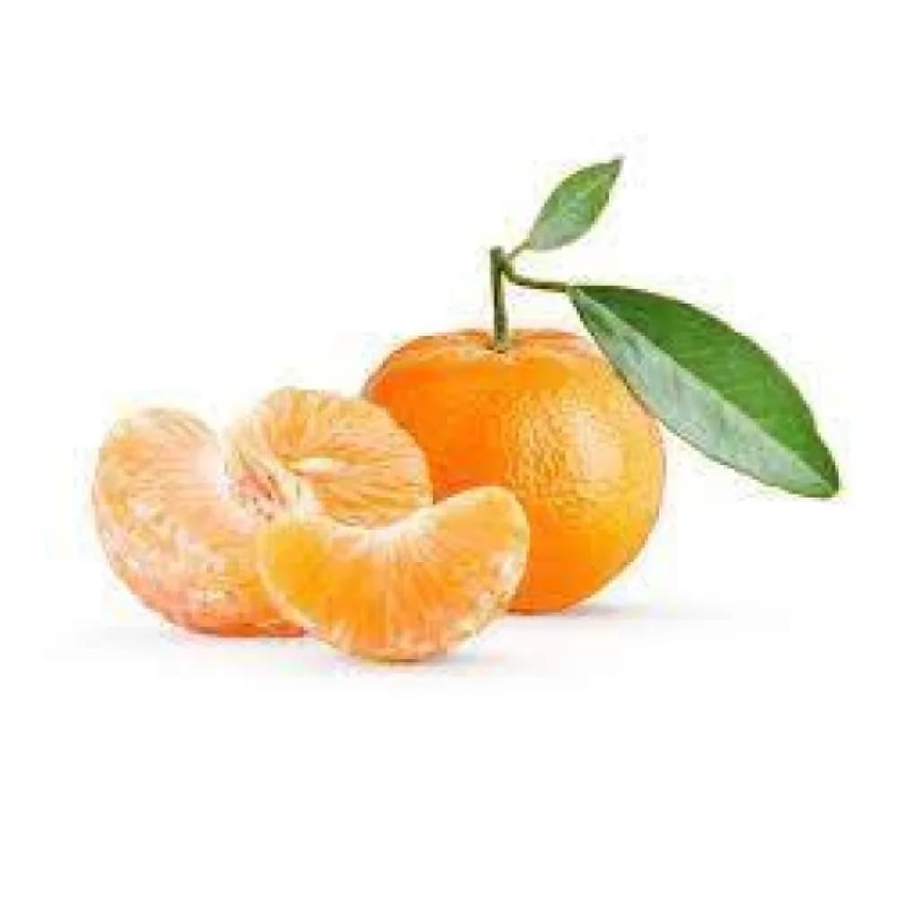 Morgote kg