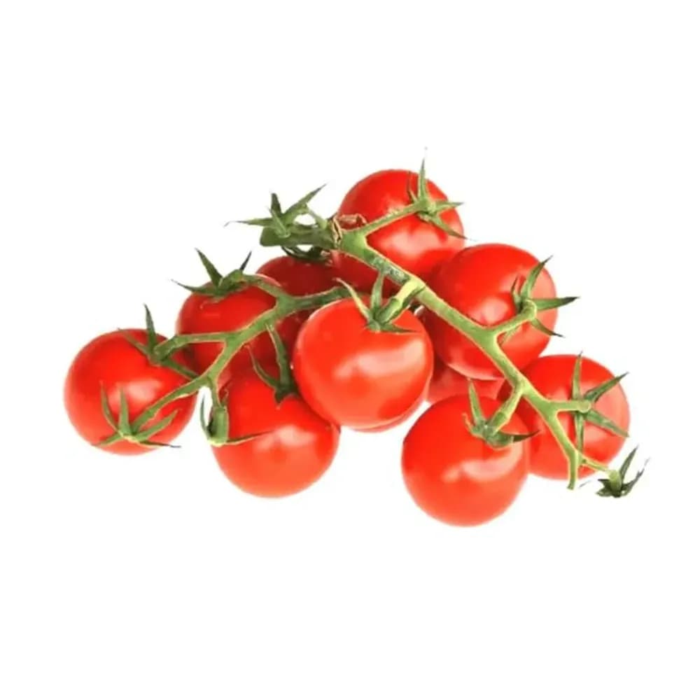 Tomate holandes kg