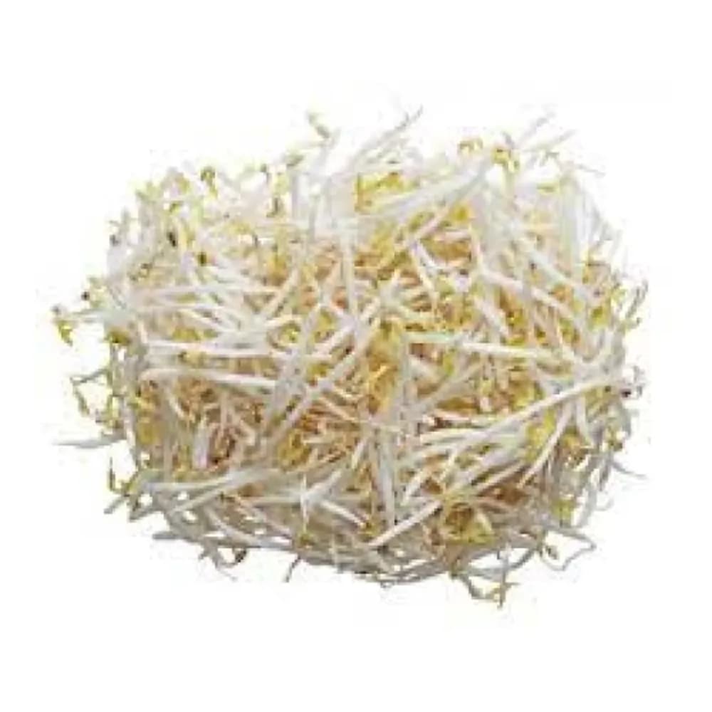 Broto de feijao moyashi 500g