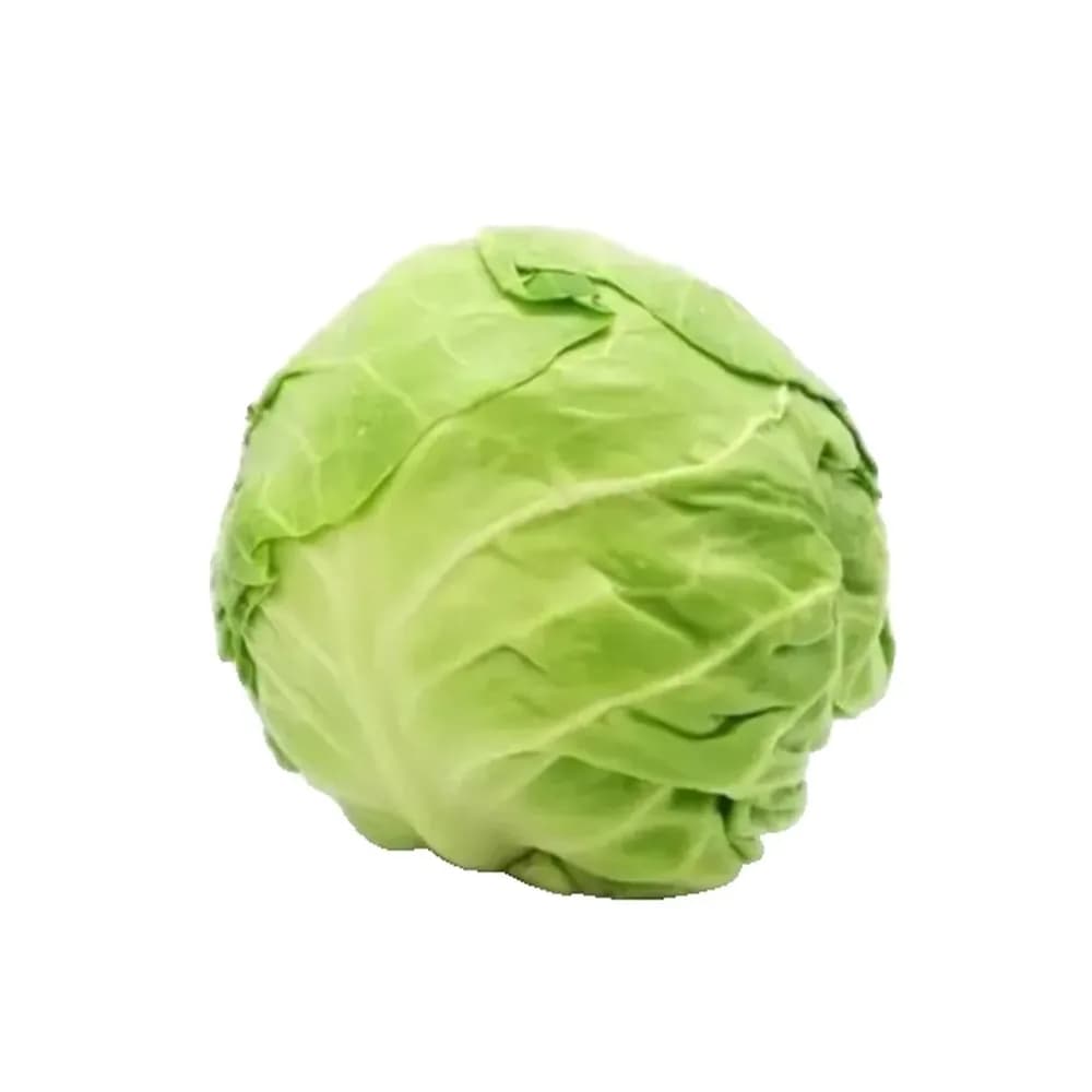 Repolho verde 250g chácara s.do campo