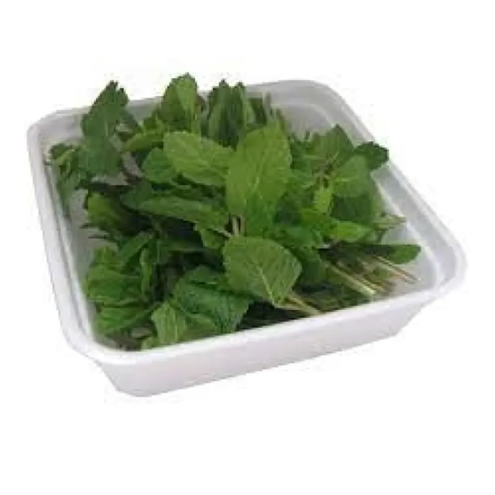 Hortela chacara s.do campo 30g