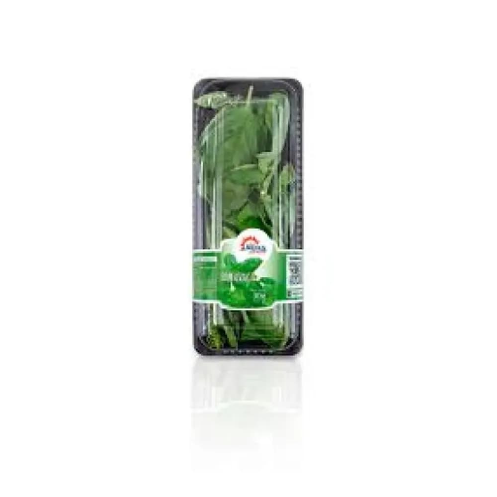 Tomilho chacara s.do campo fresco 30g