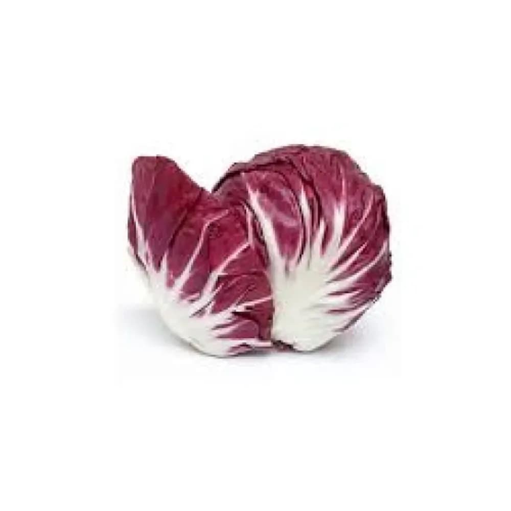 Chicoria italiana 250g rbr